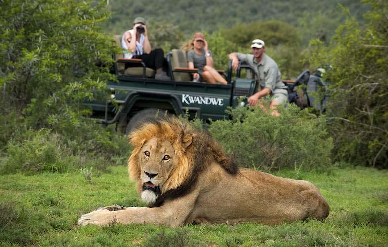 Stay at Kwandwe during a Luxury Safari South Africa
